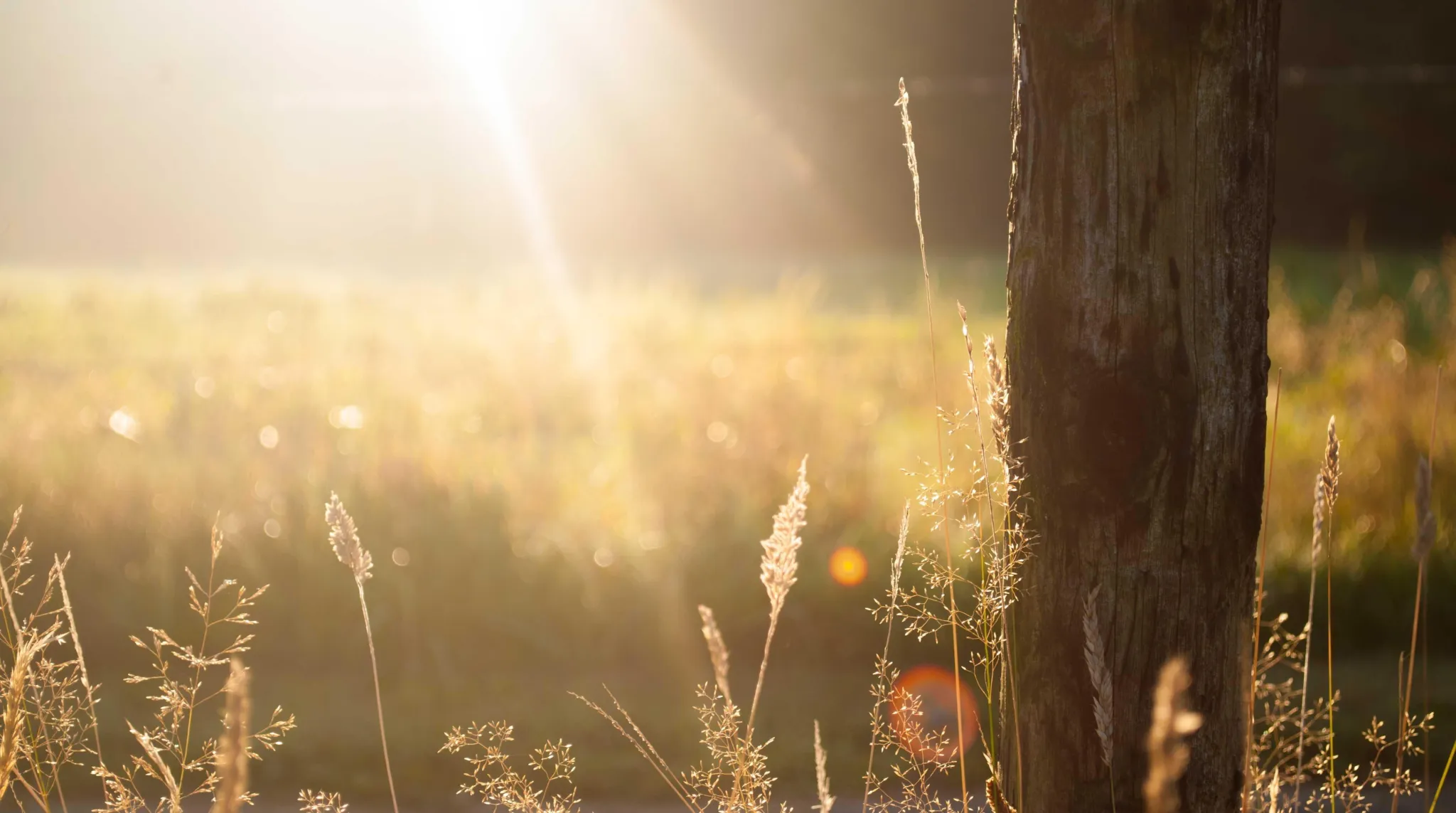 Why regular feedback is so important for remote teams